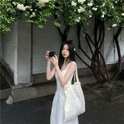 风月君子